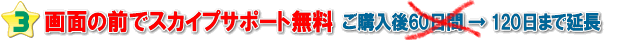 メール&スカイプサポートが無料